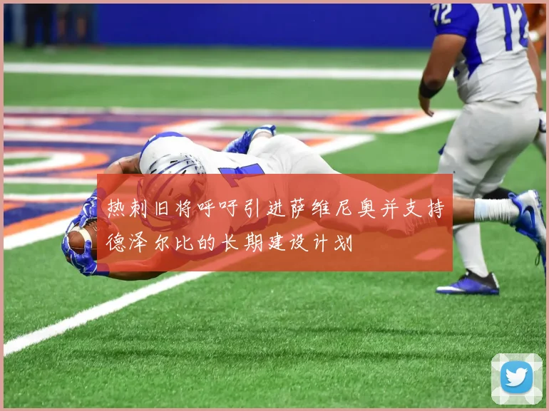 热刺旧将呼吁引进萨维尼奥并支持德泽尔比的长期建设计划